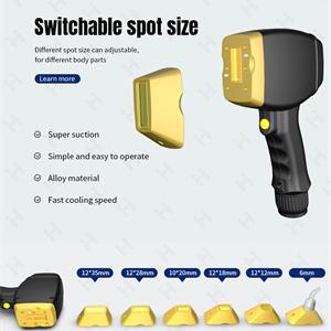 diode laser with 6 small replaceable heads