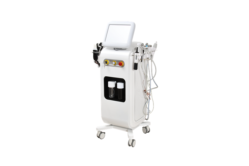 13 in 1  facial basic skin care multi-function equipment