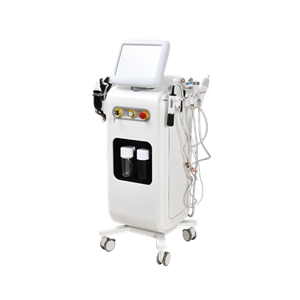 13 in 1  facial basic skin care multi-function equipment