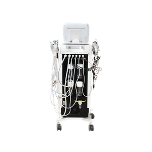 13 in 1  facial basic skin care multi-function equipment