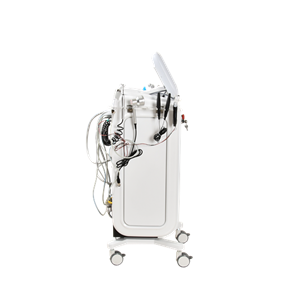 13 in 1  facial basic skin care multi-function equipment