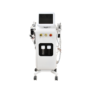 13 in 1  facial basic skin care multi-function equipment